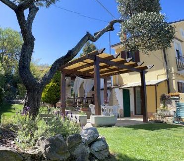 Lanciano House | Sunflower