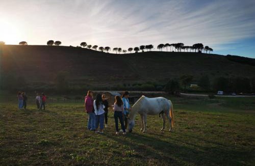 Zona III Marcigliana House | Tenuta Agricola Fonte Di Papa