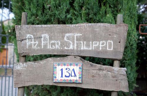 Montalcino House | Tenuta San Filippo