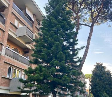 Rione VII Regola Apartment | Terracito!