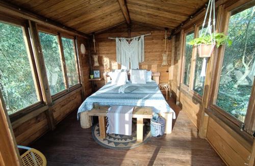 Falerna Bed & Breakfast | The Treehouse - Casa sull'albero al Golden Camp