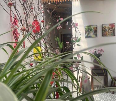 Ninh Binh House | Trang An Cuisine & Homestay