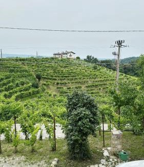 San Pietro di Barbozza Apartment | Valdobbiadene - free parking - Colline Prosecco