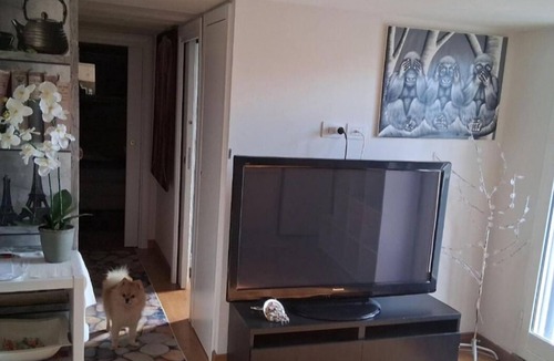 Aurelio Apartment | Vatican Rooms Holiday in Rome
