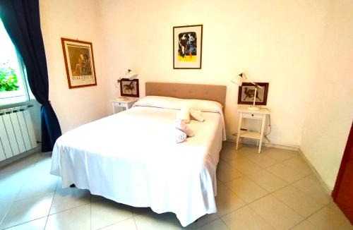 Panza Villa | Villa Angelo