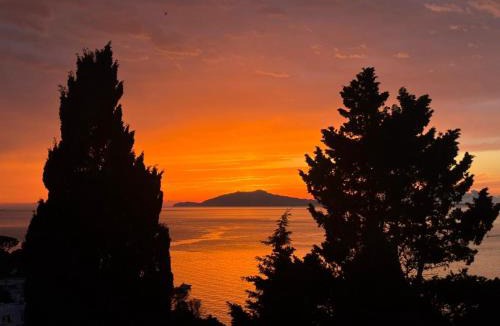 Tiberio Villa | Villa Aurora Caprese