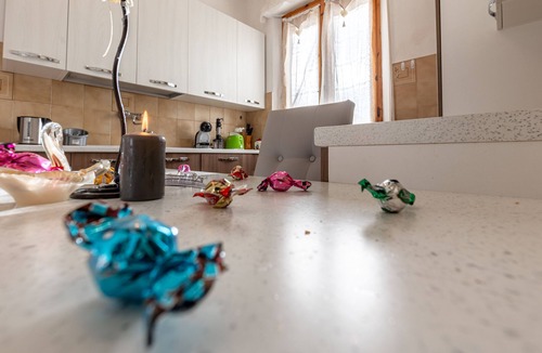 San Giovanni d'Asso Apartment | Villa "Casa Luisa" very welcoming apartment, pets are allowed