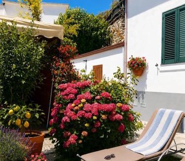 Furore House | Villa Degli Ulivi