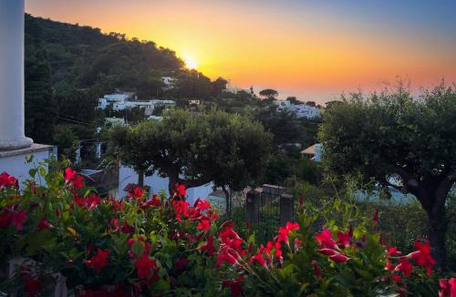 Tiberio Villa | Villa Domenicanda
