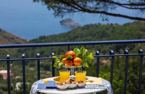 Sant'Agata sui Due Golfi Villa | Villa Fedora Sea&Stars