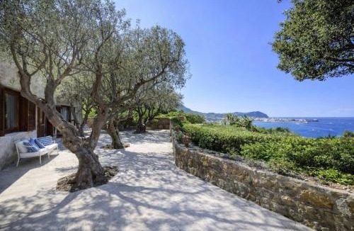 Forio Villa | Villa Grotta Leone