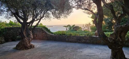 Forio Villa | Villa Grotta Leone