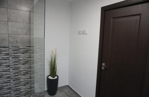 Vetel House | Villa Hanna's Garden - Mintia