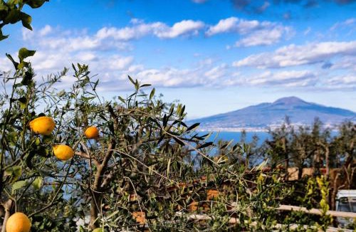 Priora House | Villa il Cacciatore