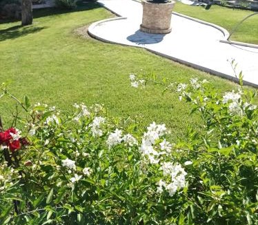 Cupello Bed & Breakfast | Villa Istonia