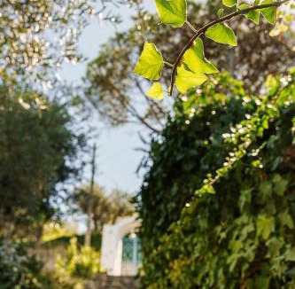 Anacapri Apartment | Villa La Vignoletta, Anacapri
