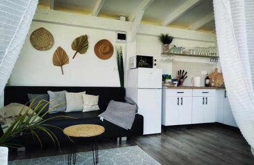 Lupeni Apartment | Villa Monica