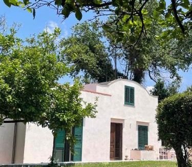 Procida House | Villa Morea & Rooms in Procida