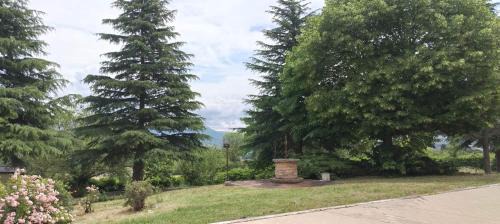 Pianola Villa | Villa Pina