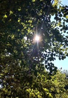 Vico Equense House | Villa Pina
