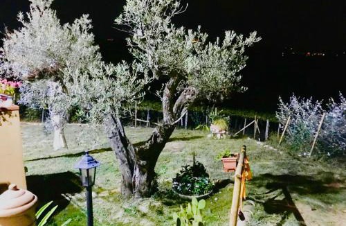 Montesilvano Villa | Villa Sarno