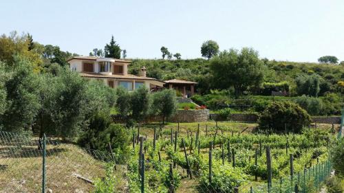 Itri Villa | Villa Uva e Stelle in the quiet of the green hills