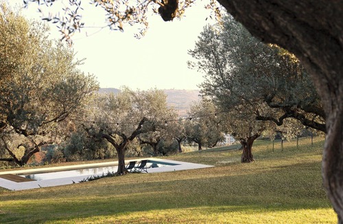 Spoltore House | Villa with olive grove in Abruzzo
