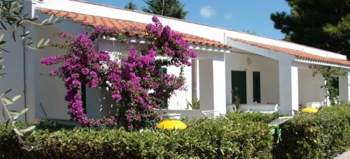 Montincello Resort | Villaggio Turistico Residence Delfino
