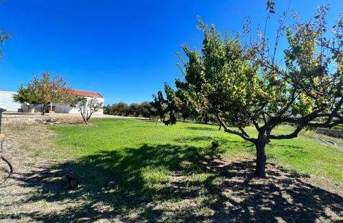 Nuova Cliternia Villa | Villino in Campagna con Piscina Relax - La Casa di Teresa