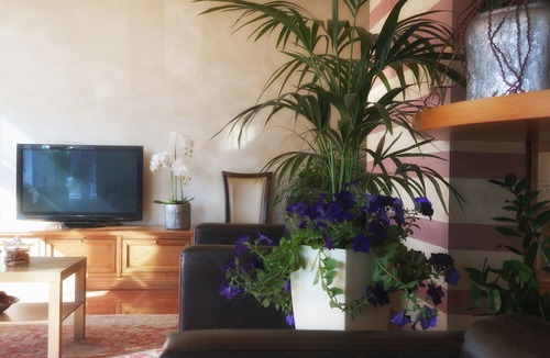 Sarmeola Hotel | Vittoria Hotel