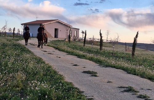 Tuscania House | Vrbo Property