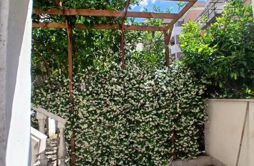 Civitavecchia Apartment | WHOLE HOLIDAY HOME APARTMENT LOVELY CIVITAVECCHIA da PAMINO & PRISCILLA