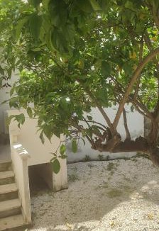 Civitavecchia Apartment | WHOLE HOLIDAY HOME APARTMENT LOVELY CIVITAVECCHIA da PAMINO & PRISCILLA