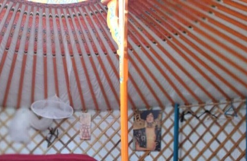 Torino di Sangro House | Yurt Cloe, Glamping Yurt in the greenery
