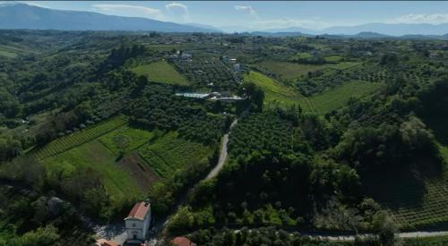 Giuliano Teatino House | Za Teresa - Napoleonic Private Resort & Spa Heated Pool all included