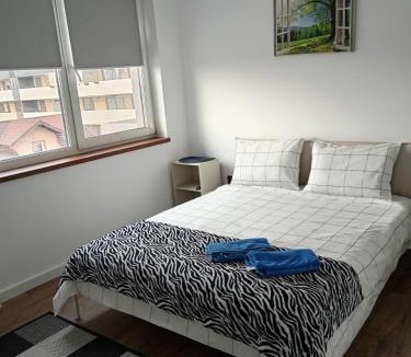 Sinnicoara Apartment | Zen aeroport