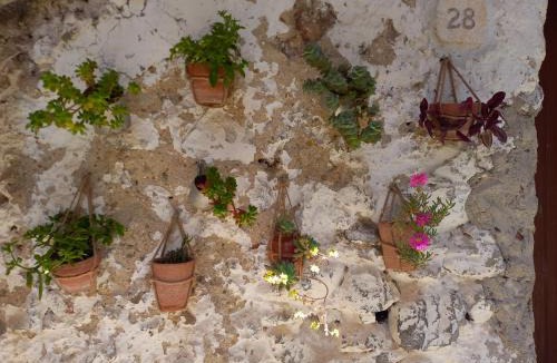 Corleto Monforte House | Zi' Ciccio Casa Vacanze