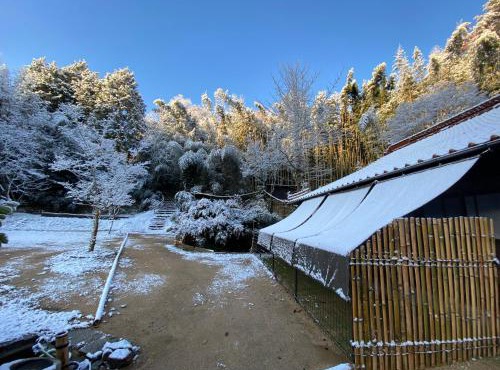 うさぎのキャンプ広場