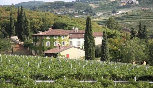 1400s manor house amongst Valpolicella vineyards