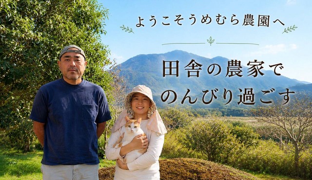 A relaxing stay in a room with 14 tatami mats two/Imari Saga