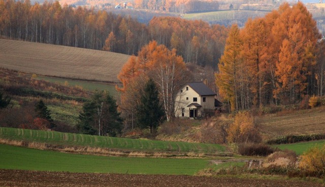 A small guesthouse in the hills of Biei - Hill/Kamikawa-gun Hokkaidō
