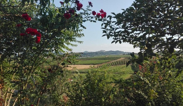 Agriturismo La Chiesina