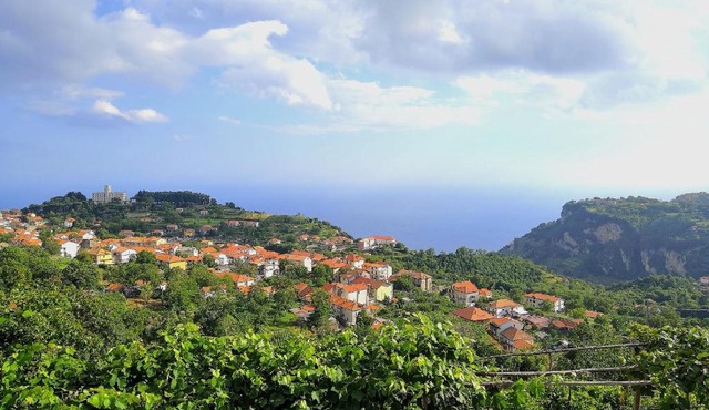 Agriturismo il Castagno
