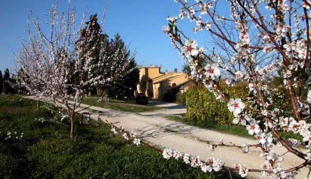 Agriturismo Le magnolie