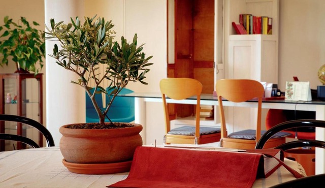 Ai Quattro Ulivi B&B