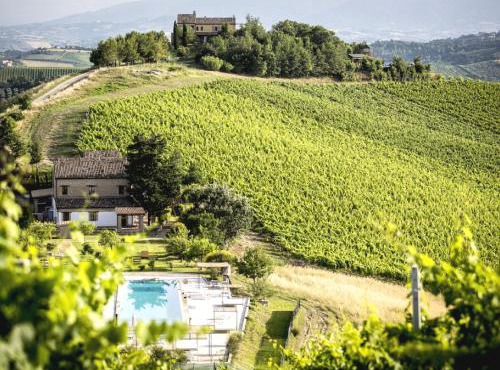 Apartment in Marche near Grottammare Beach