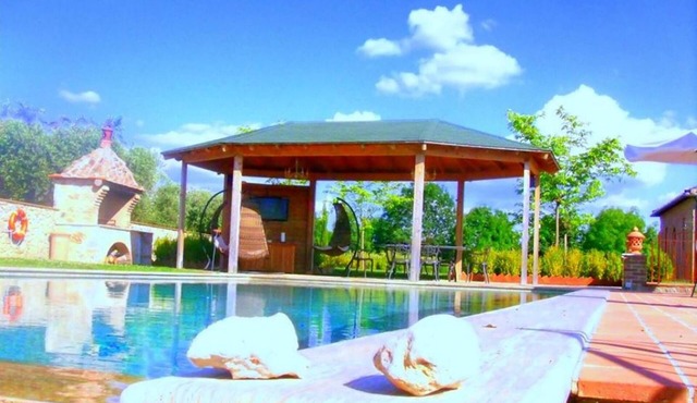 Apartment near Siena surrounded by nature with swimming pool