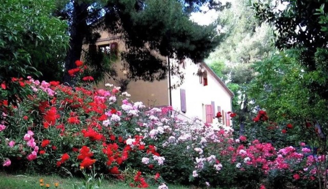 APP. in the MARCHIGIAN COUNTRY, Familiar