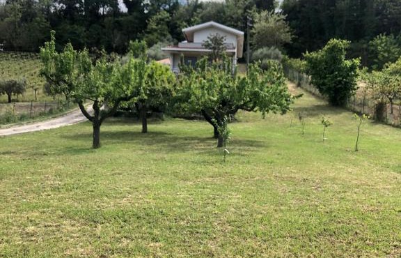 B&B AcquaViva