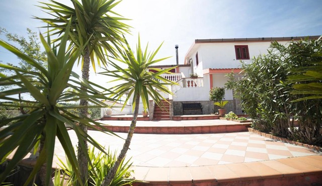 B&B Belvedere